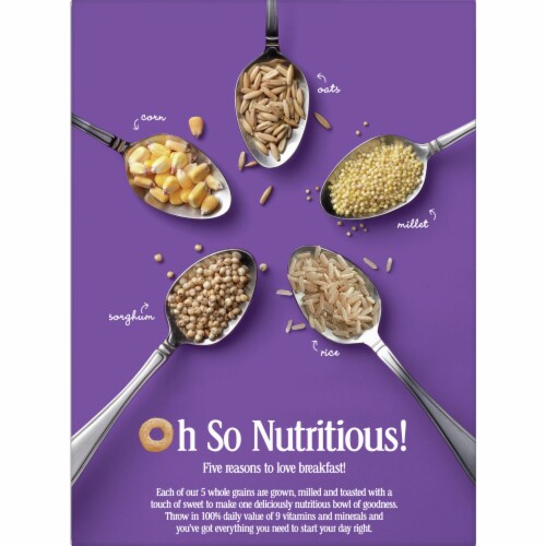 General Mills Multi Grain Cheerios™ Family Size Cereal Perspective: back