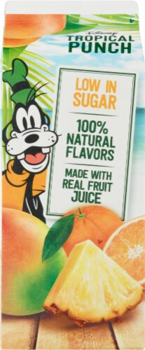 Disney Goofy Paradise Tropical Punch Perspective: back