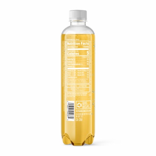 Sparkling Ice® Crisp Apple Flavored Sparkling Bottled Water Perspective: back
