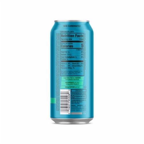 Talking Rain AQA Max™ Wild Berry Zero Sugar + Natural Caffeine Perspective: back