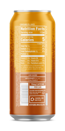Sparkling Ice + Caffeine Tea + Lemonade Zero Sugar Can Perspective: back