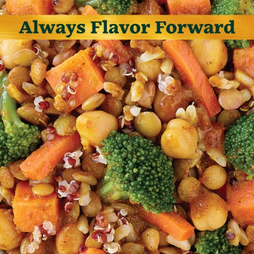 Sweet Earth Vegan Curry Tiger Vegan Frozen Dinner For One Perspective: back