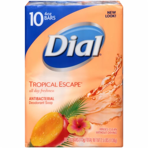Dial® Tropical Escape® Antibacterial Deodorant Bar Soap Perspective: back