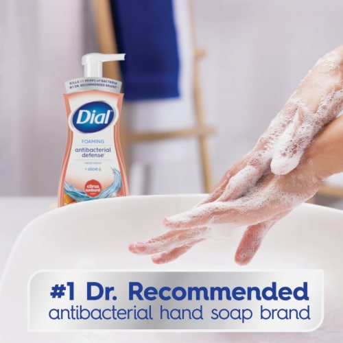 Dial Complete 7.5 Oz. Antibacterial For The Kitchen Citrus Sunburst Foaming Hand Wash 1pk Fry s Food Stores