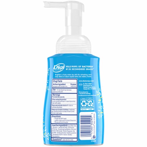 Dial Complete® Hand Wash Ice Crystals Foaming Perspective: back