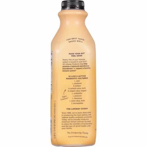 Lifeway® Oat Organic Dairy-Free Vanilla Cultured Oat Milk Perspective: back