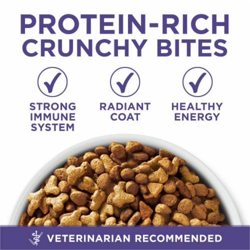 Purina ONE +Plus Adult Natural Hairball Control Dry Cat Food Real Chicken Perspective: back