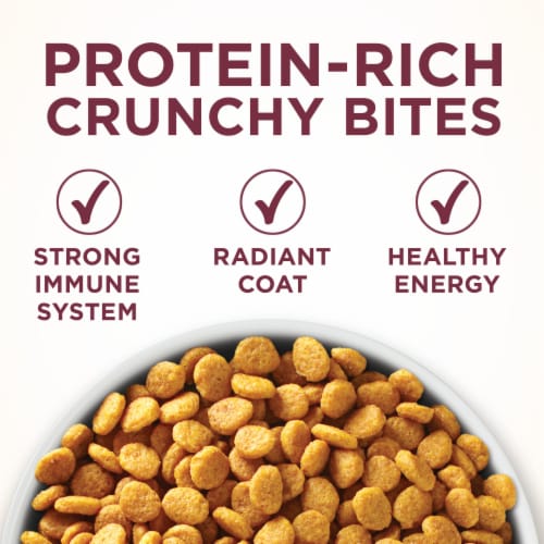 Purina ONE +Plus Adult Urinary Tract Health Dry Cat Food Real Chicken Perspective: back