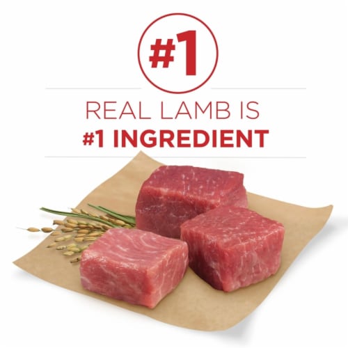 Purina ONE Smartblend Lamb & Rice Formula - 44 Pounds Perspective: back