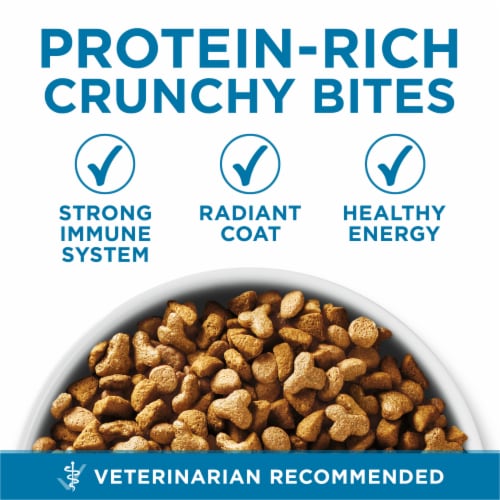 Purina ONE High Protein, Natural Senior Dry Cat Food, Indoor Advantage Senior+ Perspective: back