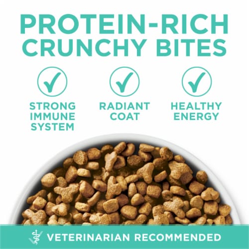 Purina One® Sensitive Skin & Stomach Formula Natural Dry Cat Food Perspective: back