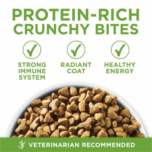 Purina One Indoor Advantage Hairball and Weight Control Natural
