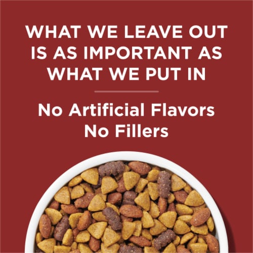 Purina® Complete Beef Flavor Adult Dog Chow Perspective: back