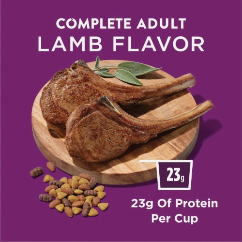 Purina Dog Chow Complete 44 Lb. Lamb Adult Dry Dog Food 179020 Perspective: back