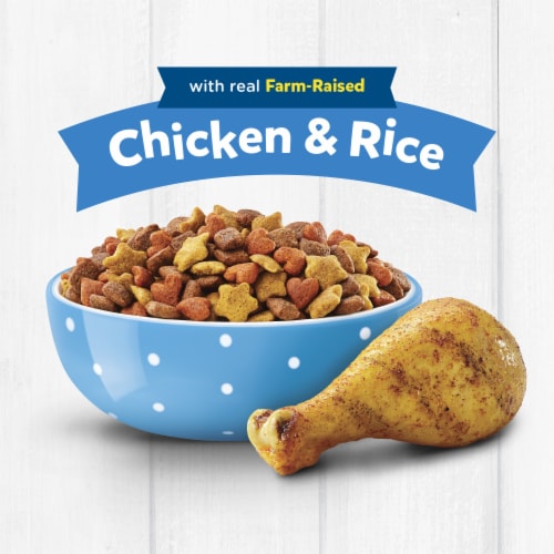 Purina Puppy Chow Complete High Protein Dry Puppy Food With Real Chicken Perspective: back