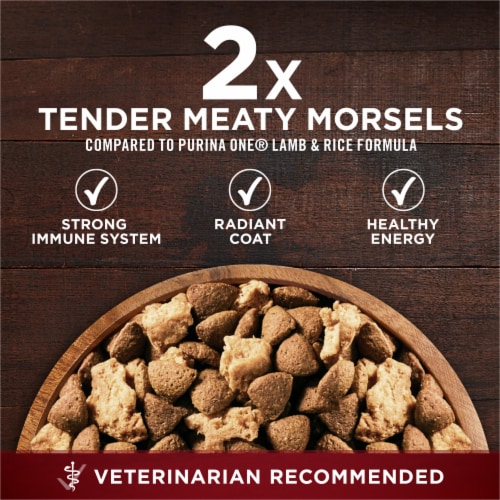 Purina ONE True Instinct Lean Muscle Support Adult Dry Dog Food Real Beef Perspective: back