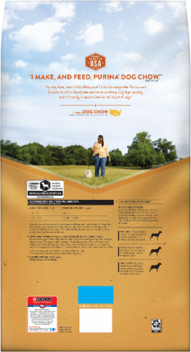 Dog Chow Small Dog Dry Food with Real Chicken Perspective: back