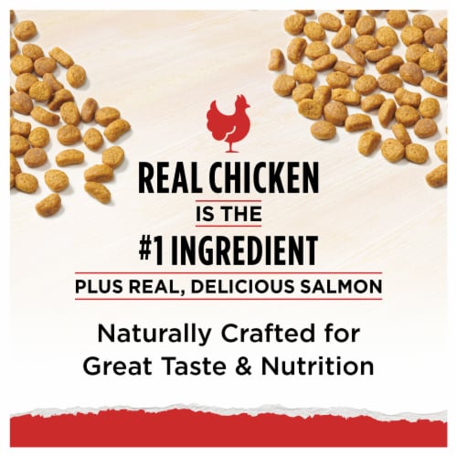 Purina Cat Chow Naturals Original Dry Cat Food Real Chicken & Salmon Perspective: back