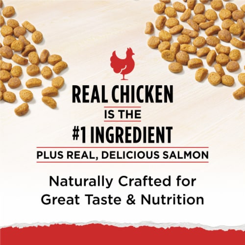 Cat Chow Naturals Original Chicken & Salmon Dry Cat Food Perspective: back