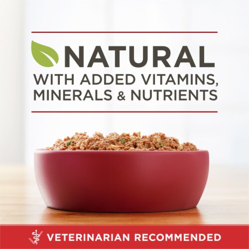 Purina ONE Wet Dog Food Classic Ground Beef & Brown Rice Entrée Perspective: back