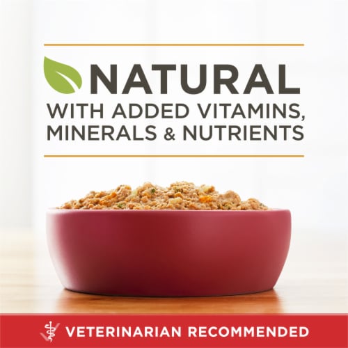 Purina ONE SmartBlend Chicken & Brown Rice Entree Classic Ground Adult Wet Dog Food Perspective: back
