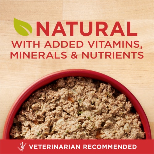 Purina ONE SmartBlend Healthy Puppy Lamb & Long Grain Rice Entree Wet Puppy Food Perspective: back