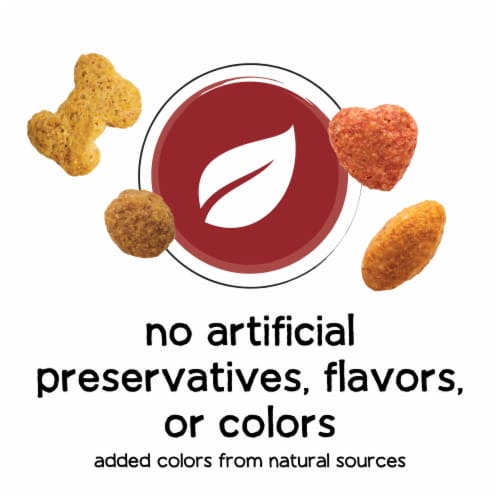 Purina® Beneful® Originals with Real Beef Adult Dog Food Perspective: back