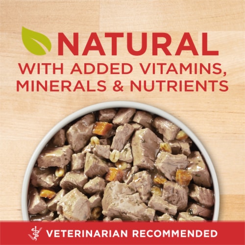 Purina ONE® Natural SmartBlend Tender Cuts in Gravy Beef & Barley High Protein Wet Dog Food Perspective: back