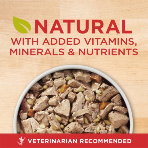 Purina ONE Wet Dog Food Tender Cuts in Gravy Chicken & Brown Rice Perspective: back
