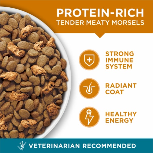 Purina ONE Tender Selects Blend with Real Chicken Natural Dry Cat Food Perspective: back