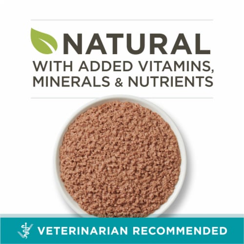Purina ONE Natural Grain-Free Wet Cat Food Pate Real Beef Recipe Perspective: back