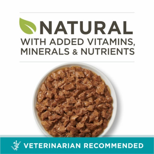 Purina ONE True Instinct Wet Cat Food Tuna Recipe in Sauce Perspective: back