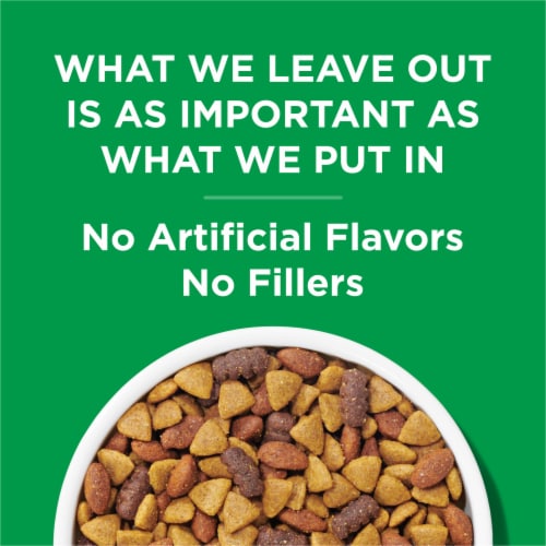 Dog chow food hot sale