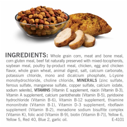 Purina® Dog Chow® Complete Adult With Real Chicken Dry Dog Food Perspective: back