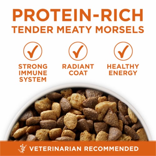 Purina ONE SmartBlend Healthy Weight Formula Turkey Natural Dry Adult Dog Food Perspective: back