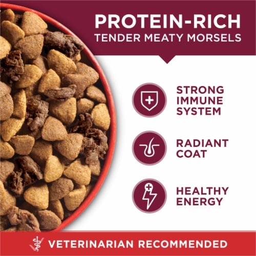 Purina one smartblend small bites sales beef and rice dry dog food