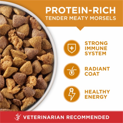 Purina ONE® SmartBlend® Chicken & Rice Formula Natural Dry Adult Dog Food Perspective: back