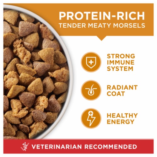 Purina ONE Chicken and Rice Formula Dry Dog Food 31.1 lb Harris Teeter