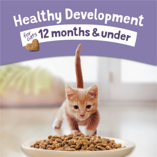 Purina® Kitten Chow® Nurture Dry Kitten Food Perspective: back