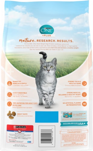 Purina ONE Healthy Metabolism Natural Adult Dry Cat Food Perspective: back