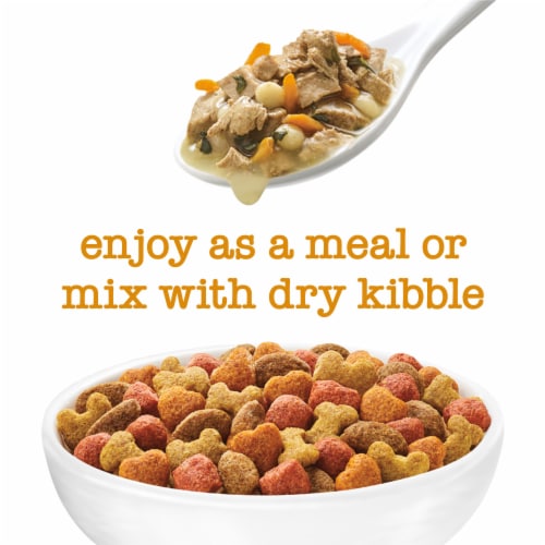 Purina Beneful Medleys Romana Style Wet Dog Food Perspective: back