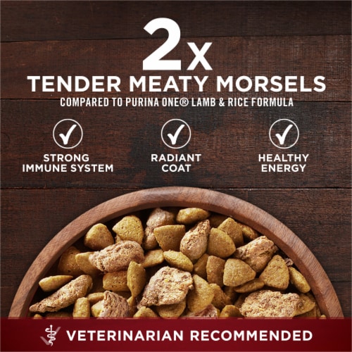 Purina ONE SmartBlend True Instinct with Real Turkey & Venison Natural Dry Dog Food Perspective: back