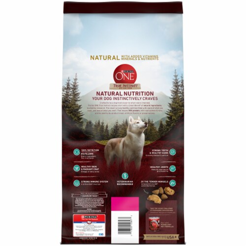 Purina one true instinct salmon sales dog food