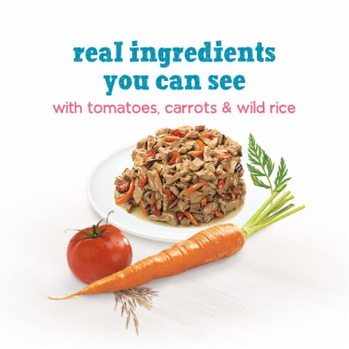 Purina Beneful Small Breed Wet Dog Food With Gravy, IncrediBites with Real Salmon Perspective: back
