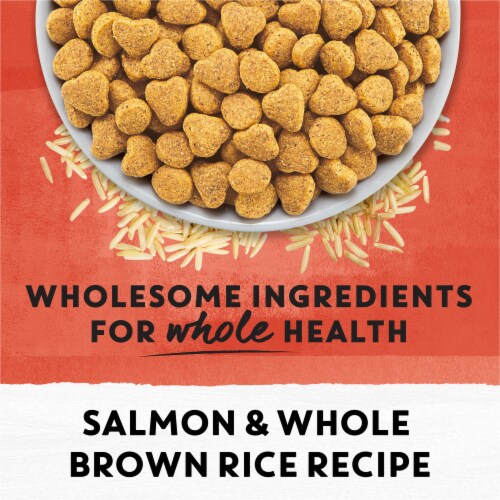 Beyond Simply Salmon Whole Brown Rice Recipe Adult Dry Cat Food