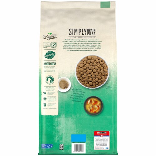 Beyond Grain Free Ocean Whitefish & Egg Recipe Adult Dry Cat Food Perspective: back