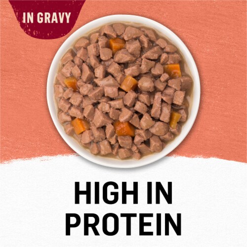Purina Beyond Wet Cat Food Wild Alaskan Salmon & Sweet Potato in Gravy Perspective: back