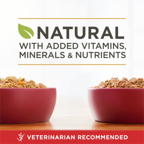 Purina ONE SmartBlend Chicken Entree & Beef Entree Wet Adult Dog Food Variety Pack Perspective: back