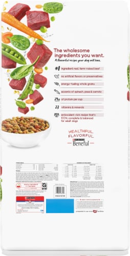 Purina Beneful Originals with Real Beef Adult Dog Food Perspective: back