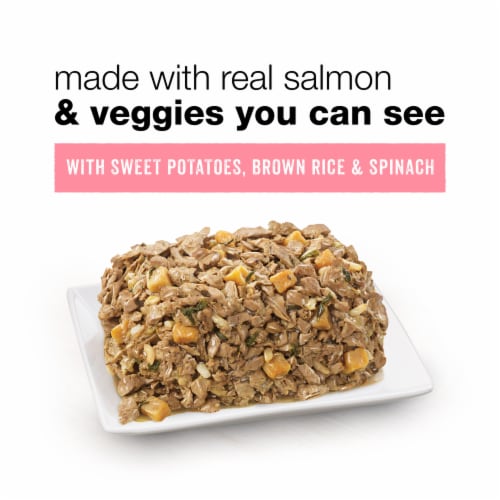 Purina Beneful® Chopped Blends™ with Salmon Wet Dog Food Perspective: back